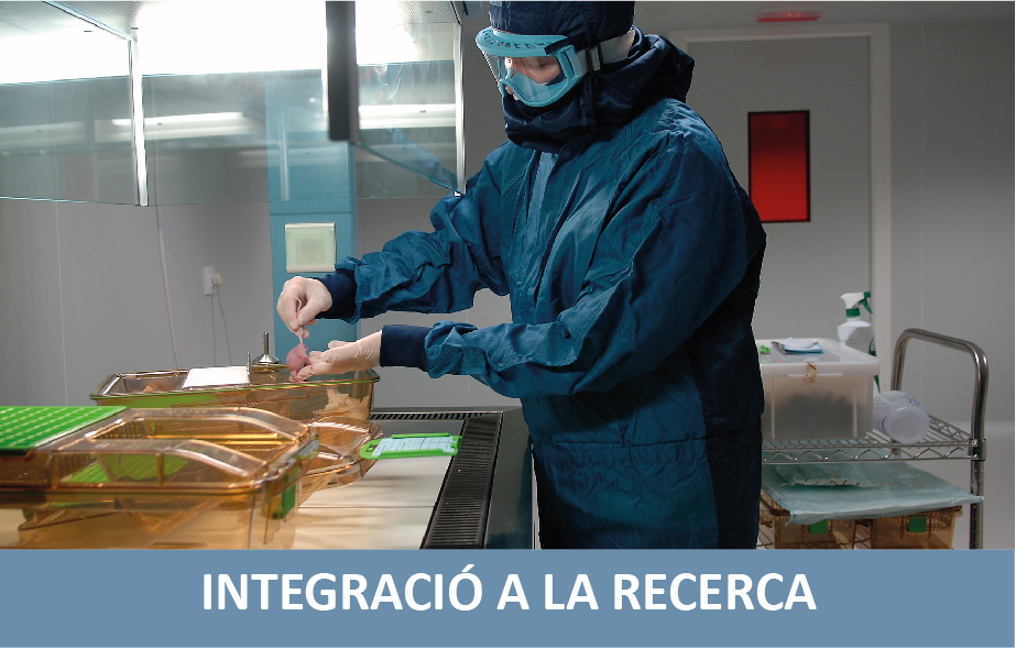 integracio-recerca-29